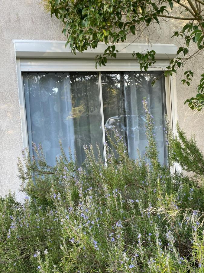 Bed and Breakfast Mas Des Tournevents Лезіньян-Корб'єр Екстер'єр фото