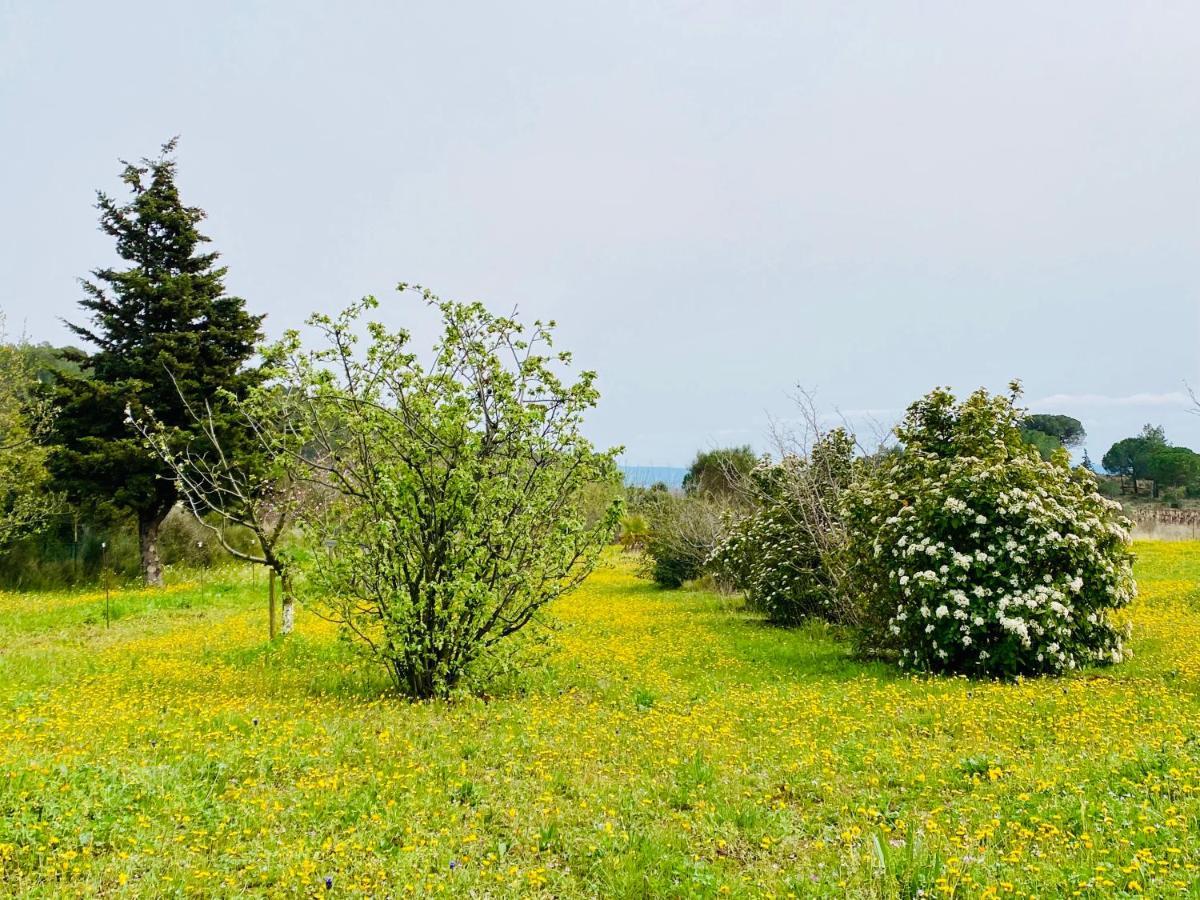 Bed and Breakfast Mas Des Tournevents Лезіньян-Корб'єр Екстер'єр фото