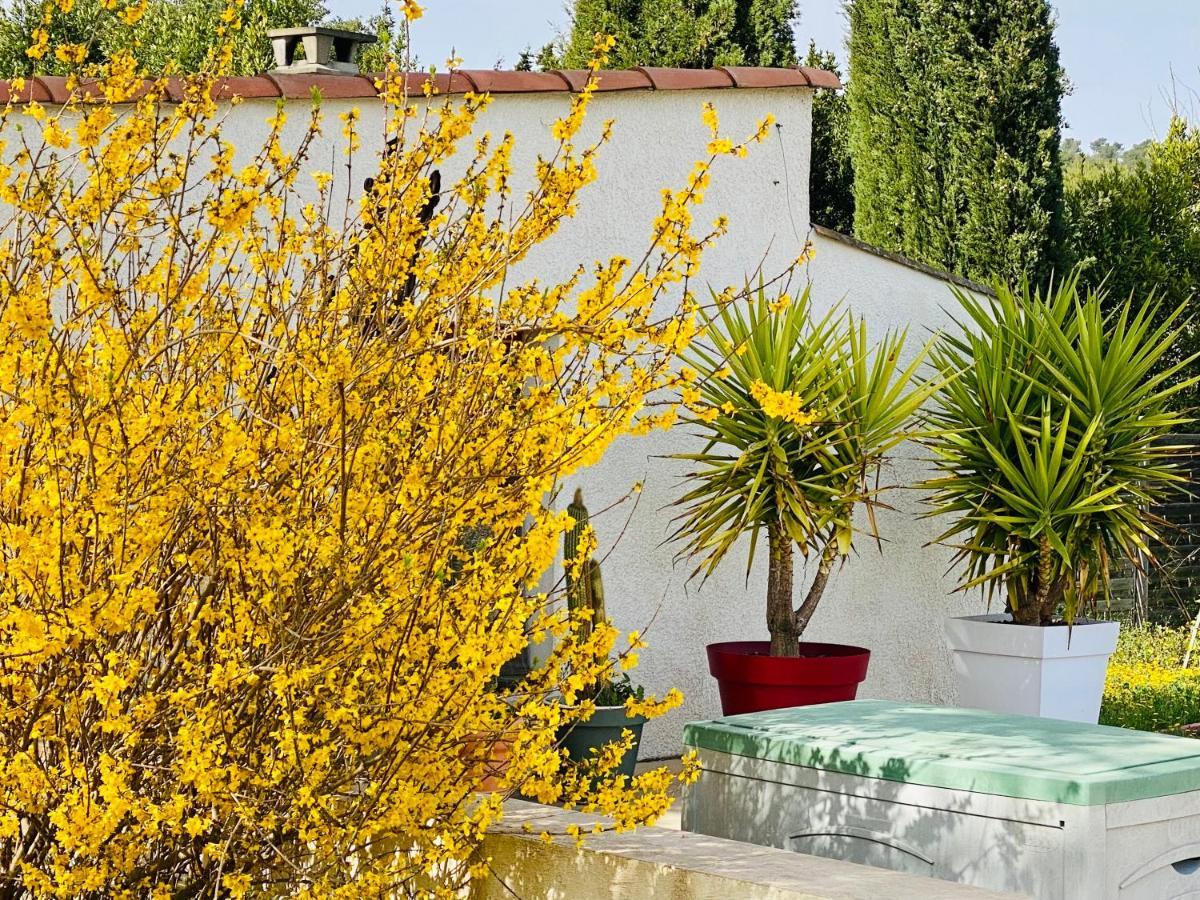 Bed and Breakfast Mas Des Tournevents Лезіньян-Корб'єр Екстер'єр фото